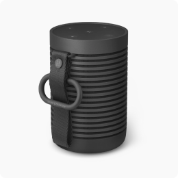 Portable speakers-2
